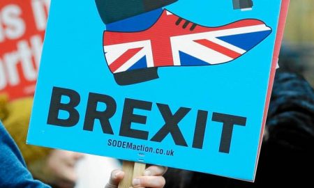 manifestante con cartel anti brexit