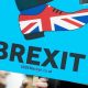 manifestante con cartel anti brexit