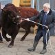 Boris Johnson en Escocia