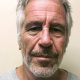 Jeffrey Epstein criminal sexual