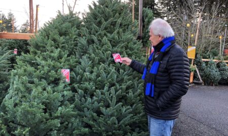 Nueva York recoge desde hoy miles de árboles de navidad abandonados en calles