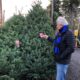 Nueva York recoge desde hoy miles de árboles de navidad abandonados en calles