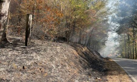 Un incendio forestal en Adger quema más de 400 acres