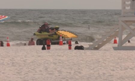 El equipo de rescate de surf de Gulf Shores rescata a 7 y encuentra a 18 personas desaparecidas