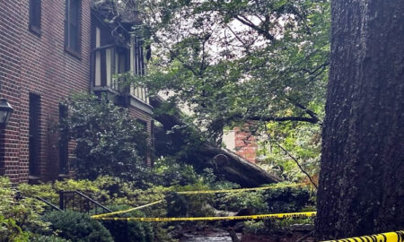 Mujer de Mountain Brook de 79 años, murió tras caer un árbol sobre su apartamento