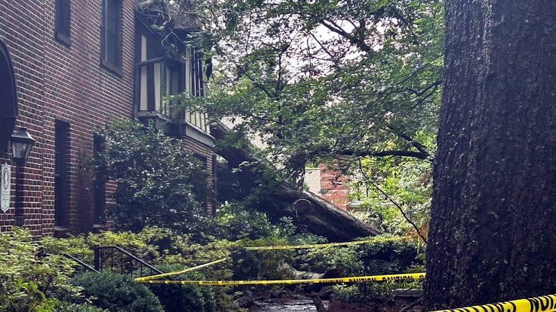 Mujer de Mountain Brook de 79 años, murió tras caer un árbol sobre su apartamento