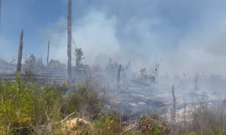 Incendio forestal en Helena