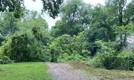 Propietarios limpiando escombros después de las tormentas del miércoles por la noche