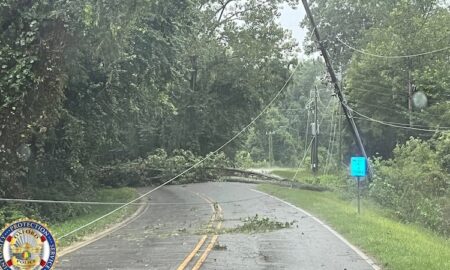 Tormentas severas causan caída de árboles en Calhoun y Etowah