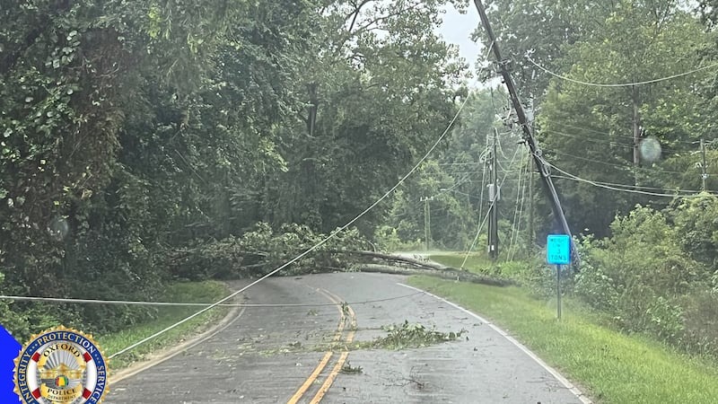 Tormentas severas causan caída de árboles en Calhoun y Etowah