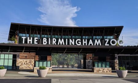 El Zoológico de Birmingham ofrece entrada gratuita a los evacuados del huracán Milton