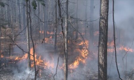 Se emite una advertencia de peligro de incendio para 22 condados de Alabama