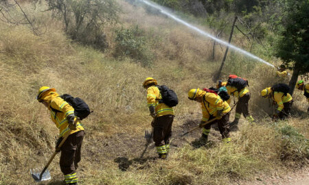 Chile planea construir casi 4.000 kilómetros de cortafuegos para prevenir incendios