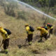 Chile planea construir casi 4.000 kilómetros de cortafuegos para prevenir incendios