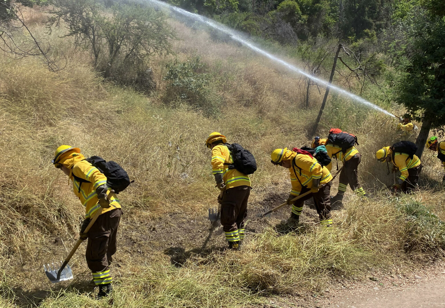 Chile planea construir casi 4.000 kilómetros de cortafuegos para prevenir incendios