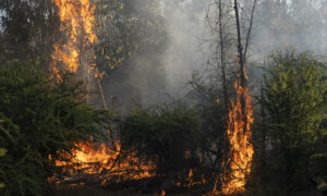 Se declara alerta roja debido a los incendios forestales en expansión en Valparaíso