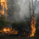 Se declara alerta roja debido a los incendios forestales en expansión en Valparaíso