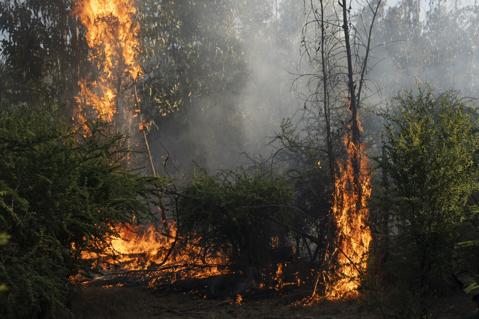 Se declara alerta roja debido a los incendios forestales en expansión en Valparaíso