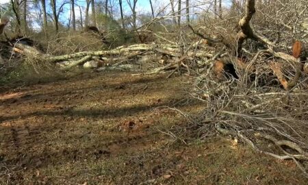 La advertencia de tornado recuerda que pueden ocurrir condiciones meteorológicas severas invernales