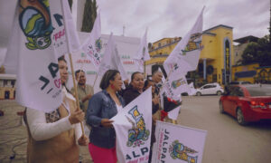 Más de 20,000 mexicanos en EE.UU. regresan a México para pasar fin de año