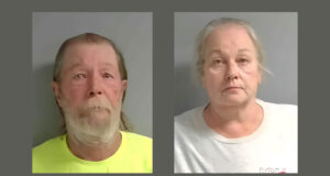 Casa abandonada contenía perros muertos abandonados por sus dueños Casa abandonada contenía perros muertos abandonados por sus dueños