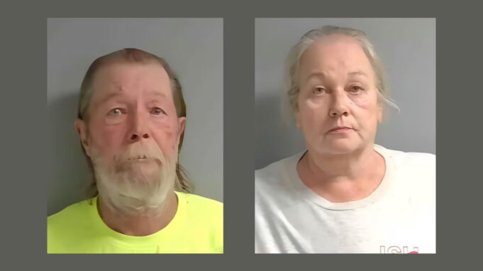 Casa abandonada contenía perros muertos abandonados por sus dueños Casa abandonada contenía perros muertos abandonados por sus dueños