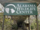 Fallece Coosa, primer embajador educativo del Centro de Vida Silvestre de Alabama Fallece Coosa, primer embajador educativo del Centro de Vida Silvestre de Alabama