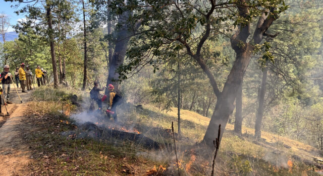 ¿Humo en los condados de Birmingham, Walker y Winston? Esto es lo que lo provoca ¿Humo en los condados de Birmingham, Walker y Winston? Esto es lo que lo provoca