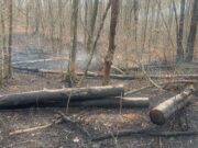 Incendios forestales queman cientos de acres en los condados de Shelby y Chilton Incendios forestales queman cientos de acres en los condados de Shelby y Chilton