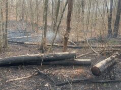 Incendios forestales queman cientos de acres en los condados de Shelby y Chilton Incendios forestales queman cientos de acres en los condados de Shelby y Chilton
