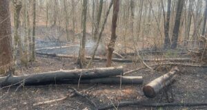 Incendios forestales queman cientos de acres en los condados de Shelby y Chilton Incendios forestales queman cientos de acres en los condados de Shelby y Chilton