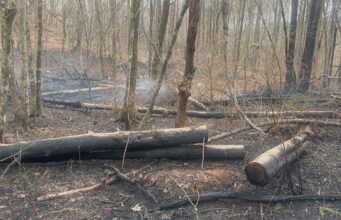 Incendios forestales queman cientos de acres en los condados de Shelby y Chilton Incendios forestales queman cientos de acres en los condados de Shelby y Chilton