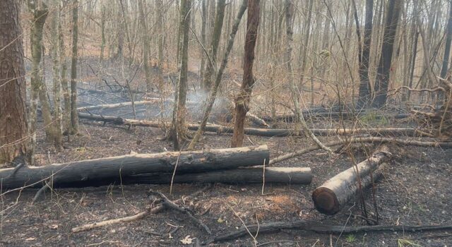 Incendios forestales queman cientos de acres en los condados de Shelby y Chilton Incendios forestales queman cientos de acres en los condados de Shelby y Chilton