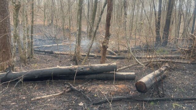 Incendios forestales queman cientos de acres en los condados de Shelby y Chilton