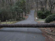 Vientos y tormentas severas dejan a más de 67.000 clientes sin electricidad en Alabama Vientos y tormentas severas dejan a más de 67.000 clientes sin electricidad en Alabama