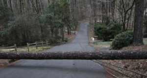 Vientos y tormentas severas dejan a más de 67.000 clientes sin electricidad en Alabama Vientos y tormentas severas dejan a más de 67.000 clientes sin electricidad en Alabama