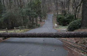 Vientos y tormentas severas dejan a más de 67.000 clientes sin electricidad en Alabama Vientos y tormentas severas dejan a más de 67.000 clientes sin electricidad en Alabama