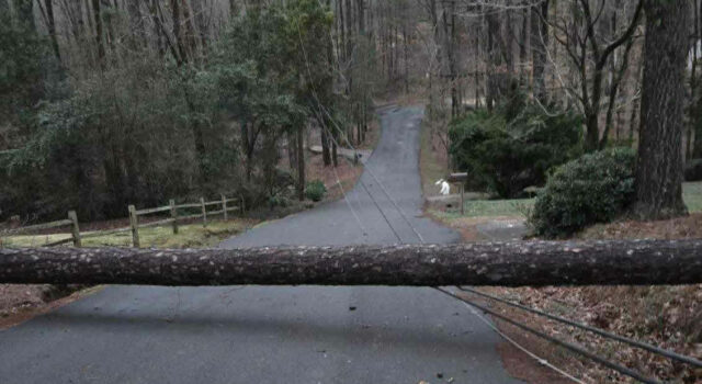Vientos y tormentas severas dejan a más de 67.000 clientes sin electricidad en Alabama Vientos y tormentas severas dejan a más de 67.000 clientes sin electricidad en Alabama