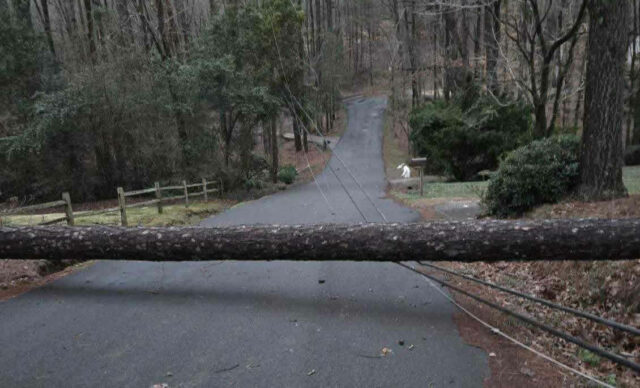 Vientos y tormentas severas dejan a más de 67.000 clientes sin electricidad en Alabama