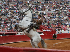 Comisión debatirá una propuesta para prohibir las corridas de toros en la Ciudad de México Comisión debatirá una propuesta para prohibir las corridas de toros en la Ciudad de México