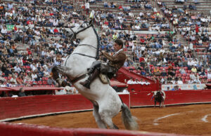 Comisión debatirá una propuesta para prohibir las corridas de toros en la Ciudad de México Comisión debatirá una propuesta para prohibir las corridas de toros en la Ciudad de México