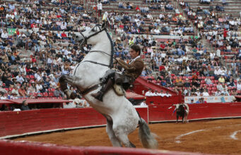 Comisión debatirá una propuesta para prohibir las corridas de toros en la Ciudad de México Comisión debatirá una propuesta para prohibir las corridas de toros en la Ciudad de México