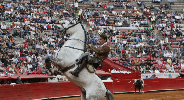 Comisión debatirá una propuesta para prohibir las corridas de toros en la Ciudad de México Comisión debatirá una propuesta para prohibir las corridas de toros en la Ciudad de México