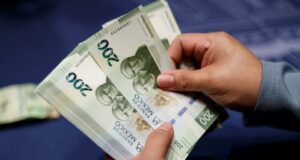 La OCDE estima que la economía mexicana disminuirá un 1,3% en 2025 La OCDE estima que la economía mexicana disminuirá un 1,3% en 2025