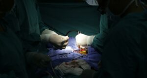 Un hígado de cerdo genéticamente modificado podría ser viable para trasplante humano Un hígado de cerdo genéticamente modificado podría ser viable para trasplante humano