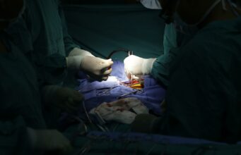 Un hígado de cerdo genéticamente modificado podría ser viable para trasplante humano Un hígado de cerdo genéticamente modificado podría ser viable para trasplante humano