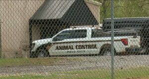 La Sociedad Humanitaria del Gran Birmingham ahora gestiona el Centro de Control Animal La Sociedad Humanitaria del Gran Birmingham ahora gestiona el Centro de Control Animal