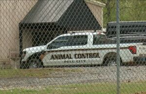 La Sociedad Humanitaria del Gran Birmingham ahora gestiona el Centro de Control Animal La Sociedad Humanitaria del Gran Birmingham ahora gestiona el Centro de Control Animal