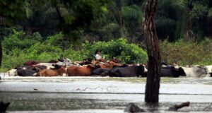 Bolivia solicita apoyo internacional debido a las emergencias causadas por las lluvias Bolivia solicita apoyo internacional debido a las emergencias causadas por las lluvias