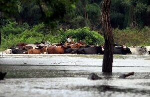 Bolivia solicita apoyo internacional debido a las emergencias causadas por las lluvias Bolivia solicita apoyo internacional debido a las emergencias causadas por las lluvias